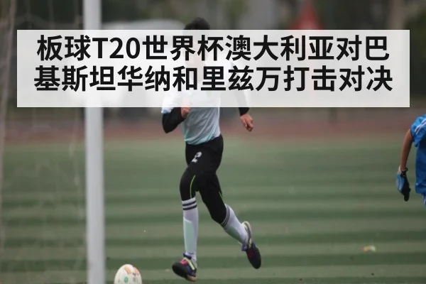板球T20世界杯澳大利亚对巴基斯坦华纳和里兹万打击对决
