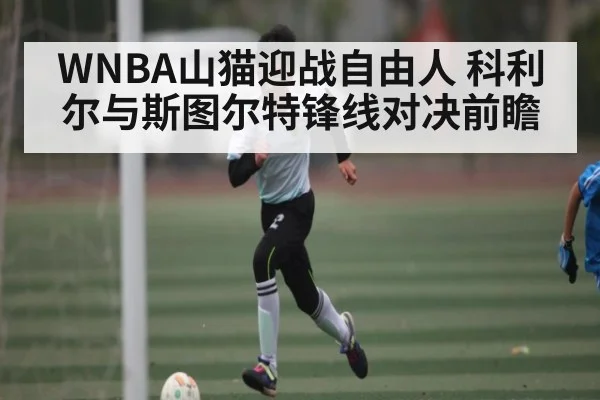 WNBA山猫迎战自由人 科利尔与斯图尔特锋线对决前瞻